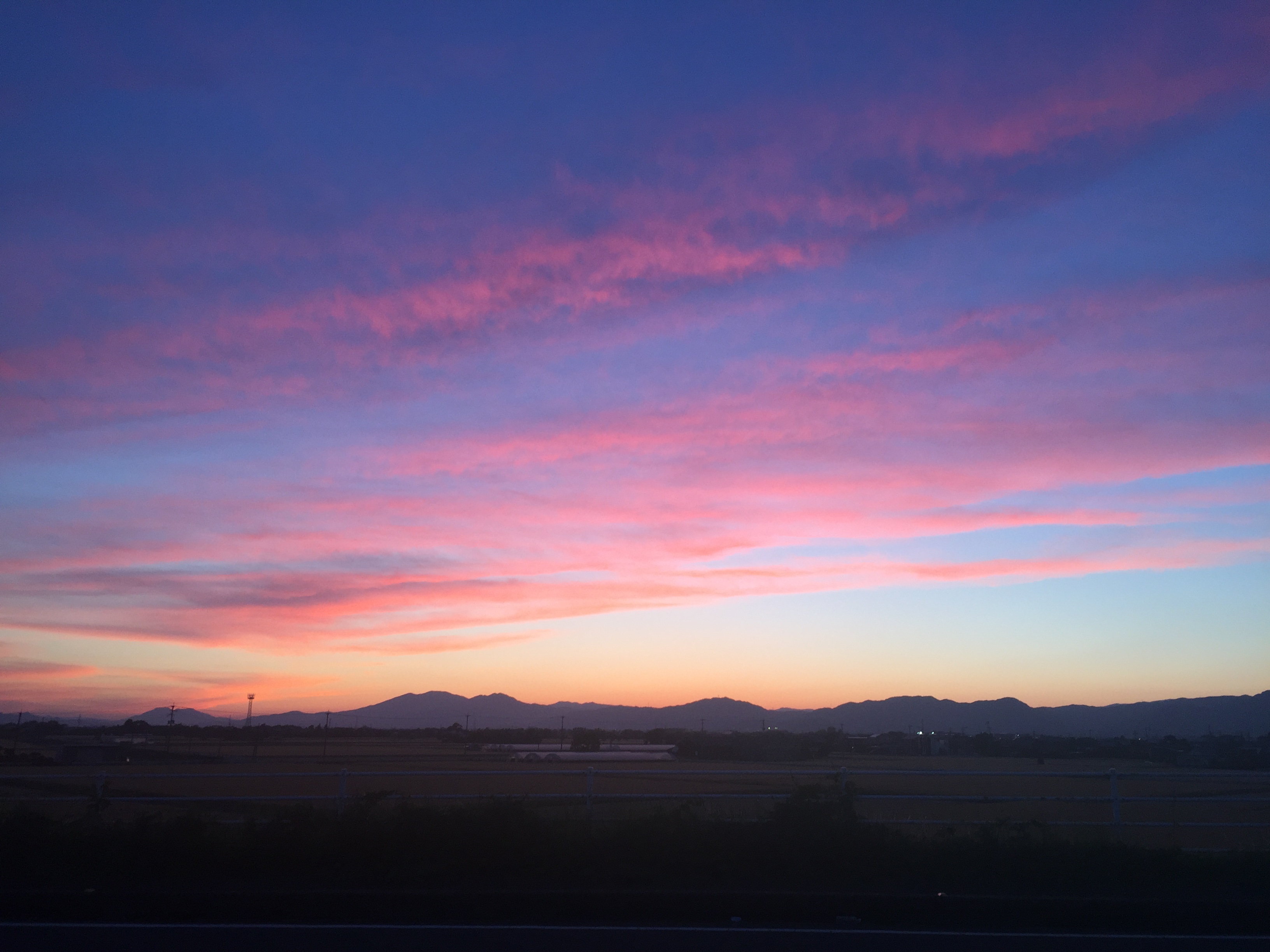 佐賀県の田園風景
